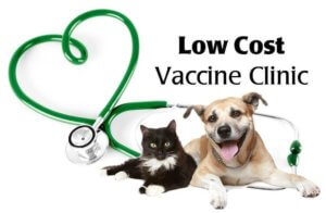 vaccination clinic low cost pet clinic