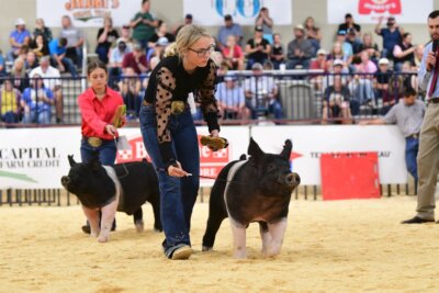 HOT waco fair rodeo livestock show pig sheep ffa 4h extraco event center sullivan lindner moorman jacoby honor show chow feed greatness heart of texas 