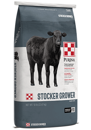 purina stocker grower cattle feed