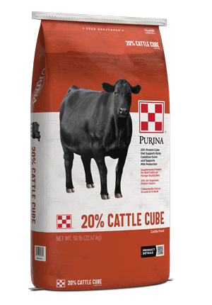 cattle cube feed 20% range cube cubes