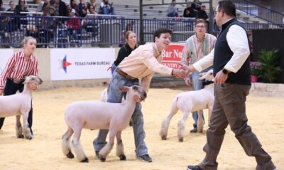 hot fair livestock show and rodeo heart of texas extraco event center waco texas tx
